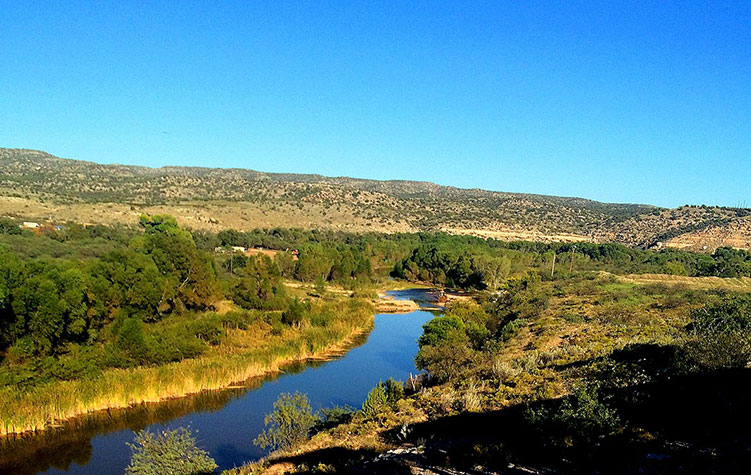 Top 10 Reasons We Love the Verde River - Friends of the Verde River