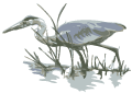 Crane from Logo