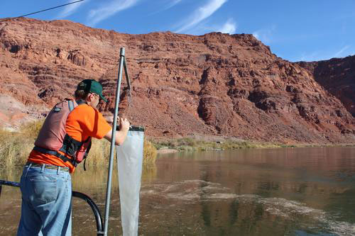 Water Flow Measurement USGS