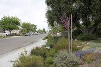 Stormwater Management After - Credit: Council for Watershed Health Stormwater Management After - Credit: Council for Watershed Health