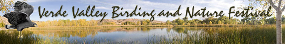 Birding Festival