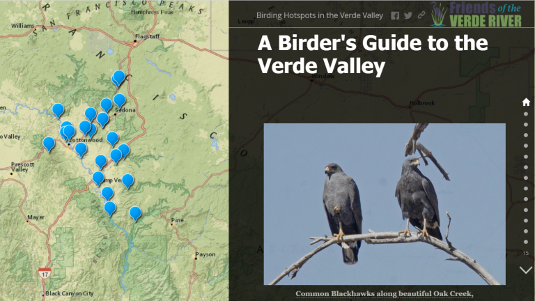 2023 Verde Valley Birding & Nature Festival - Friends Of The Verde River