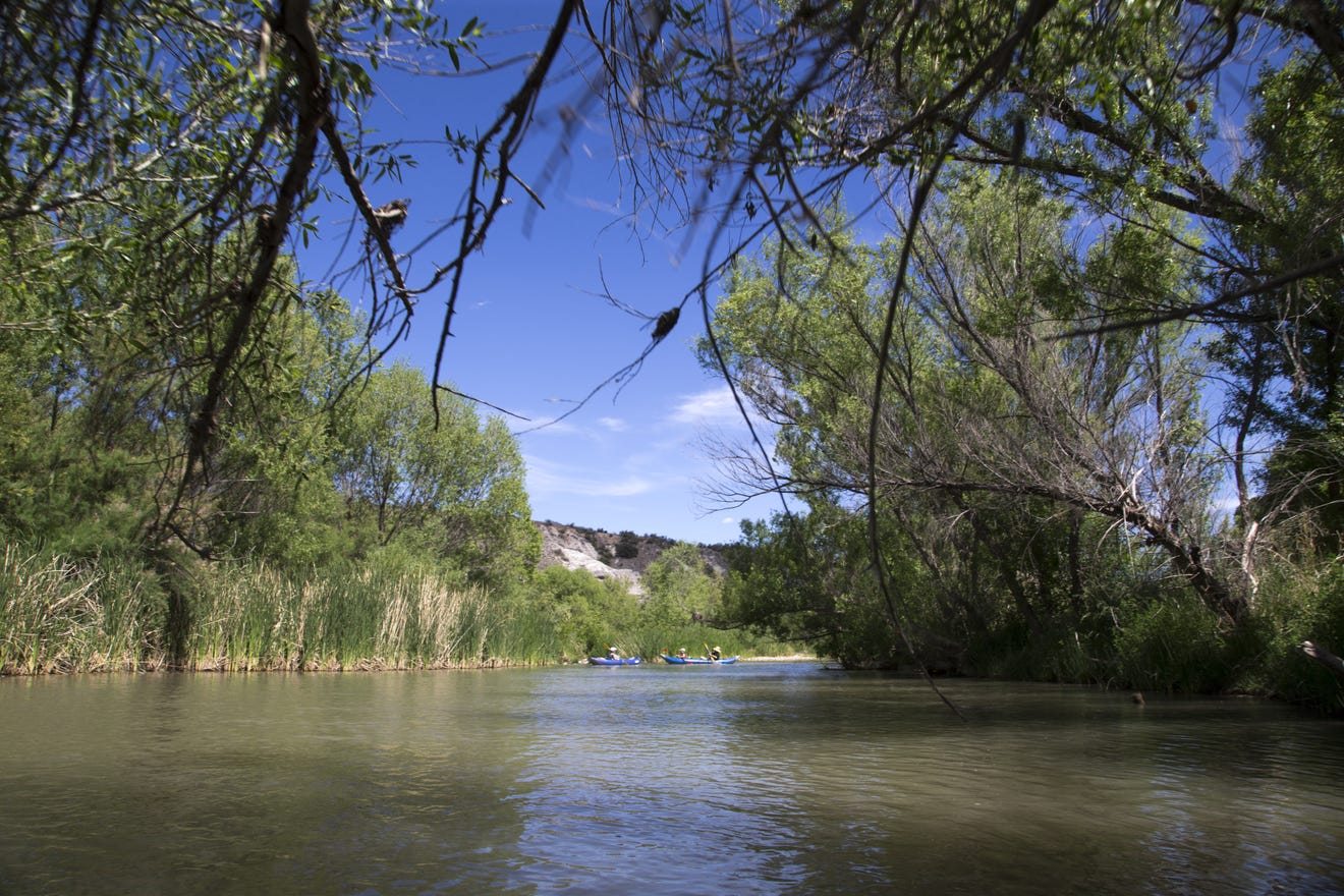 World Water Day Friends Of The Verde River