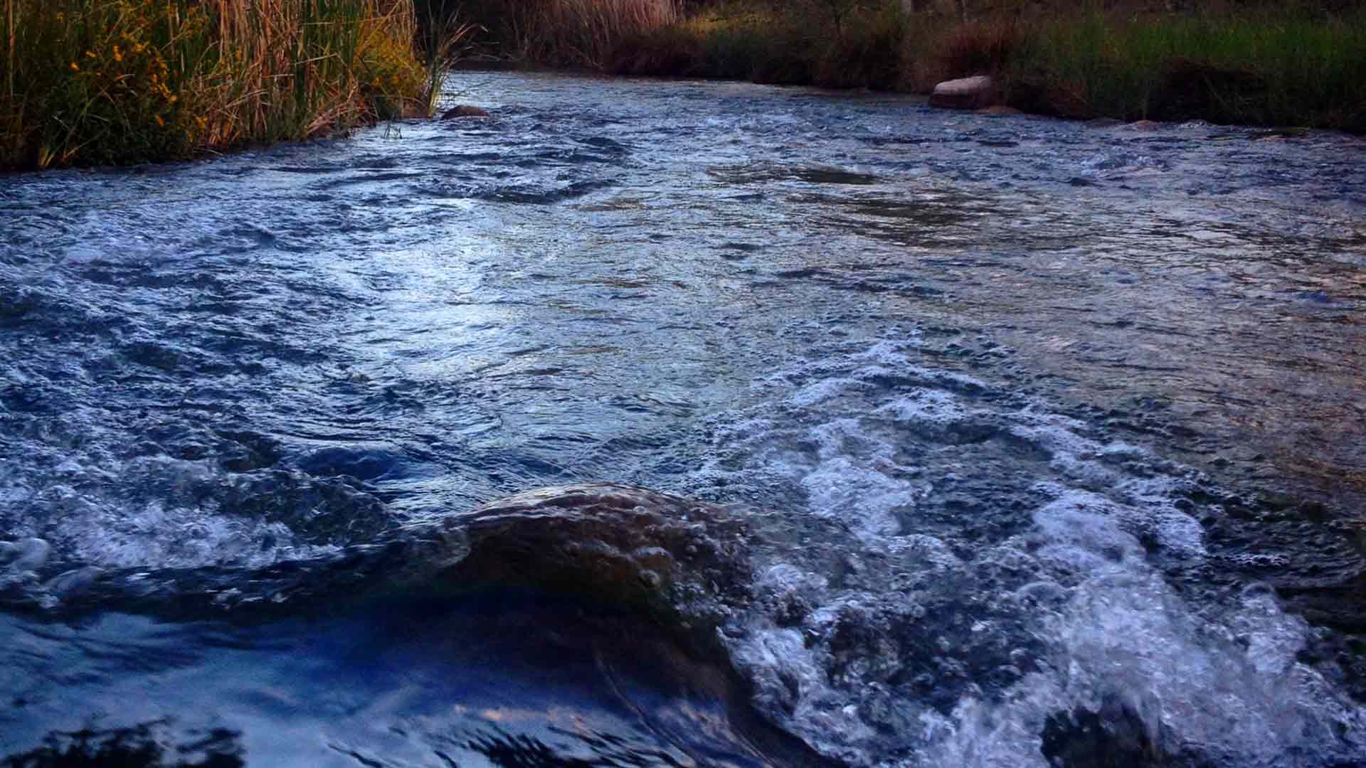 Cape Nature Center leads Cape LaCroix Creek Stream Team efforts