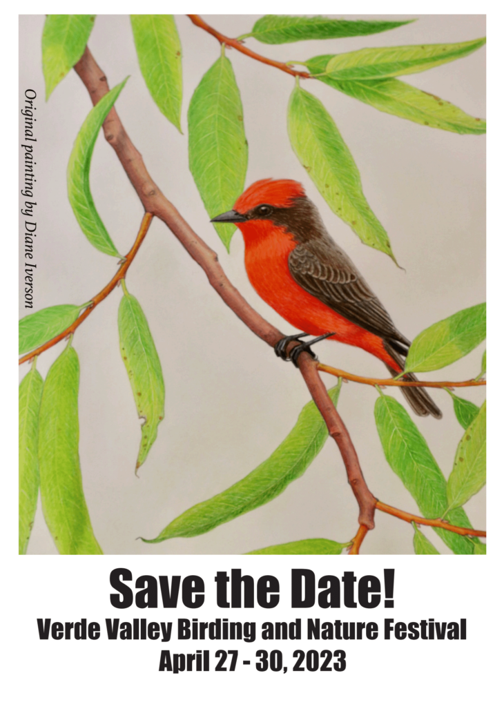 Save the Date postcard for Verde Valley Birding and Nature Festival 2023
