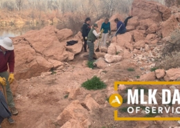 Friends of the Verde River - MLK Day of Service