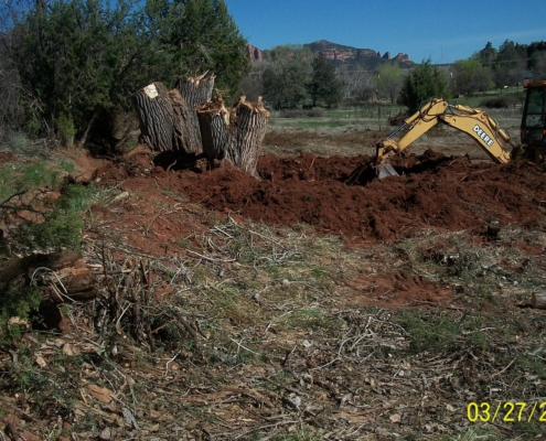 cut-down tree being removed with a backhoe as part of the irrigation ditch repair project by the Red Rock Ditch Association