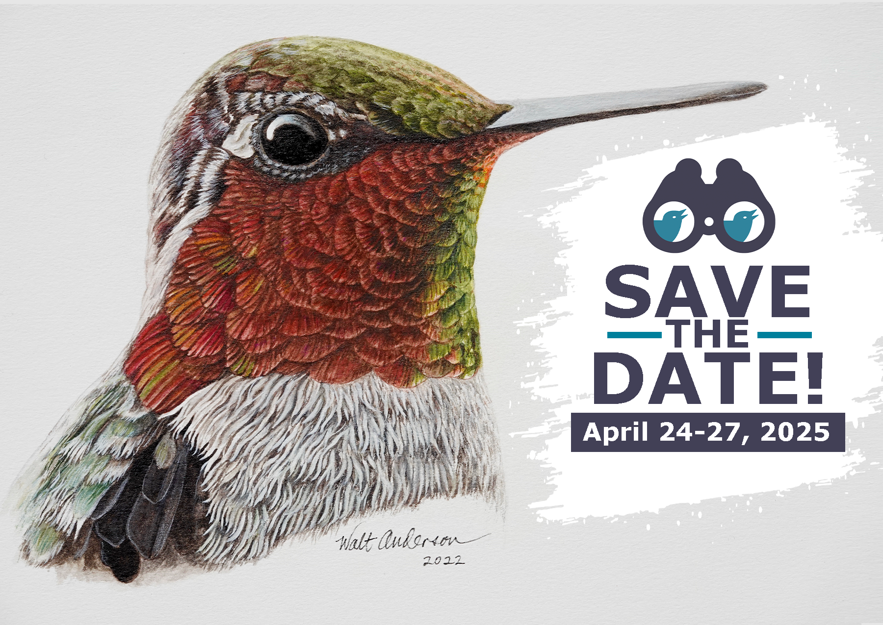 2025 Verde Valley Birding and Nature Festival artist Walt Anderson and Anna's Hummingbird