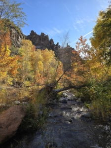 Fossil Creek in Sedona, Arizona