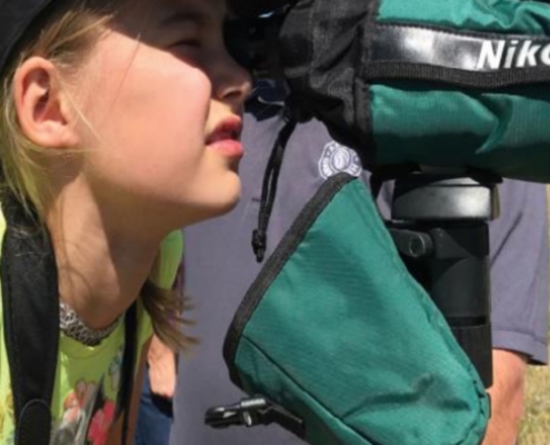 young birder looking through scope