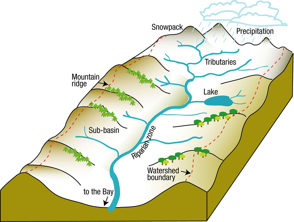 Verde River Watershed Schematic