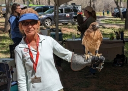 woman holding hawk