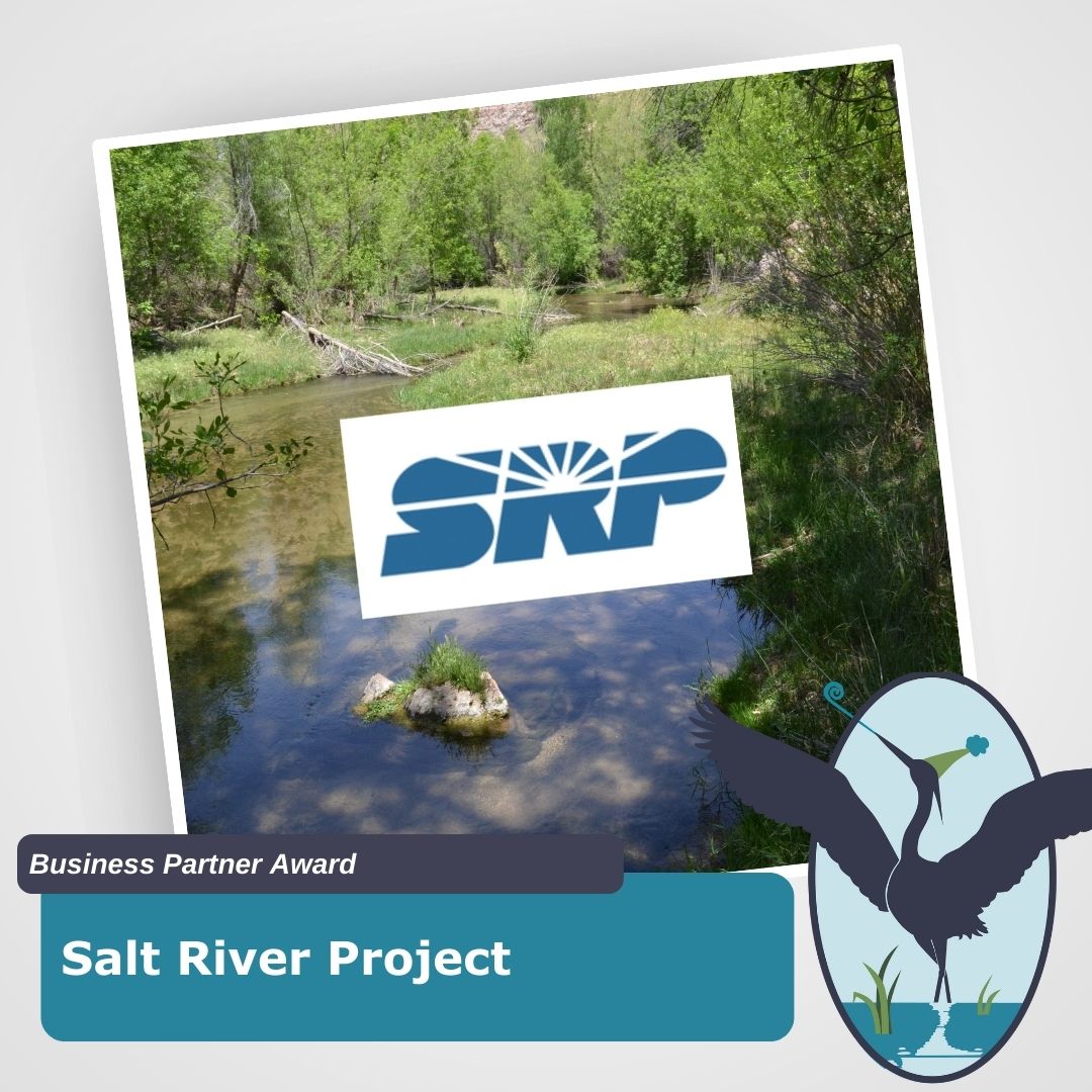 SRP Business partner heron award