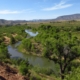 Verde River photo with green banks