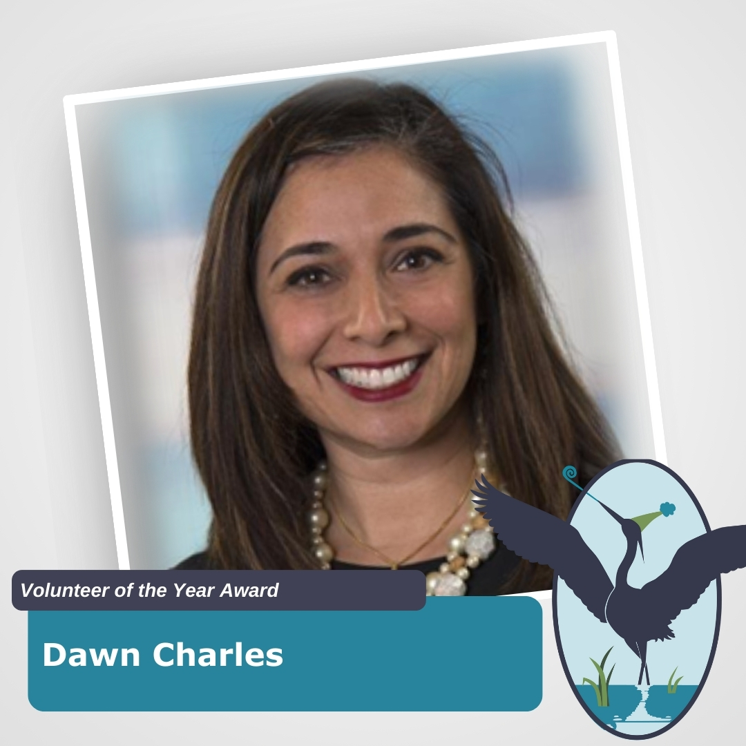 Dawn Charles Volunteer of the Year Heron Award